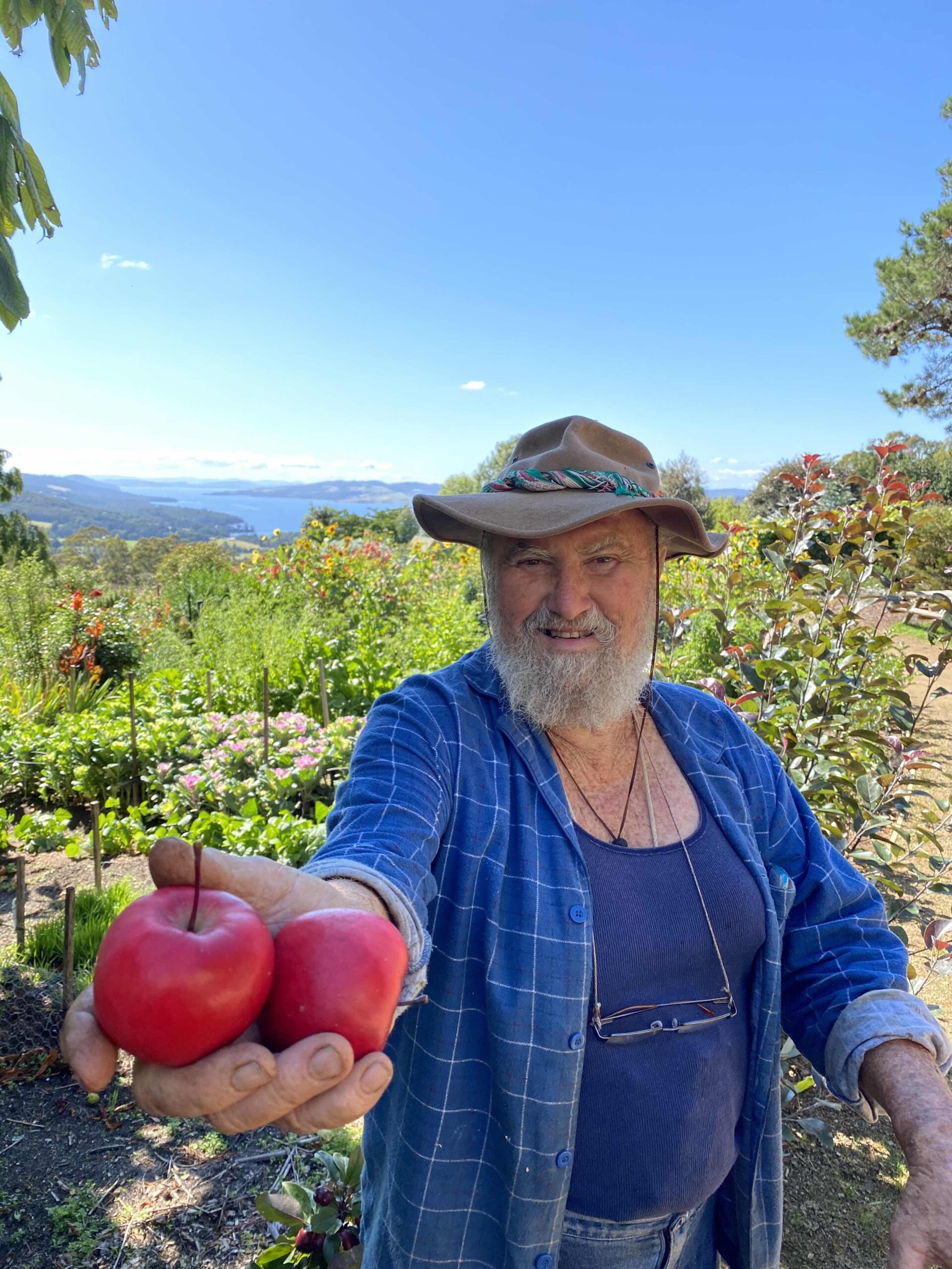 Bob with apples